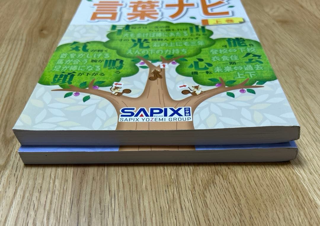 匿名配送　未使用品　サピックス 言葉ナビ 上下巻2冊セット　SAPIX 希少品