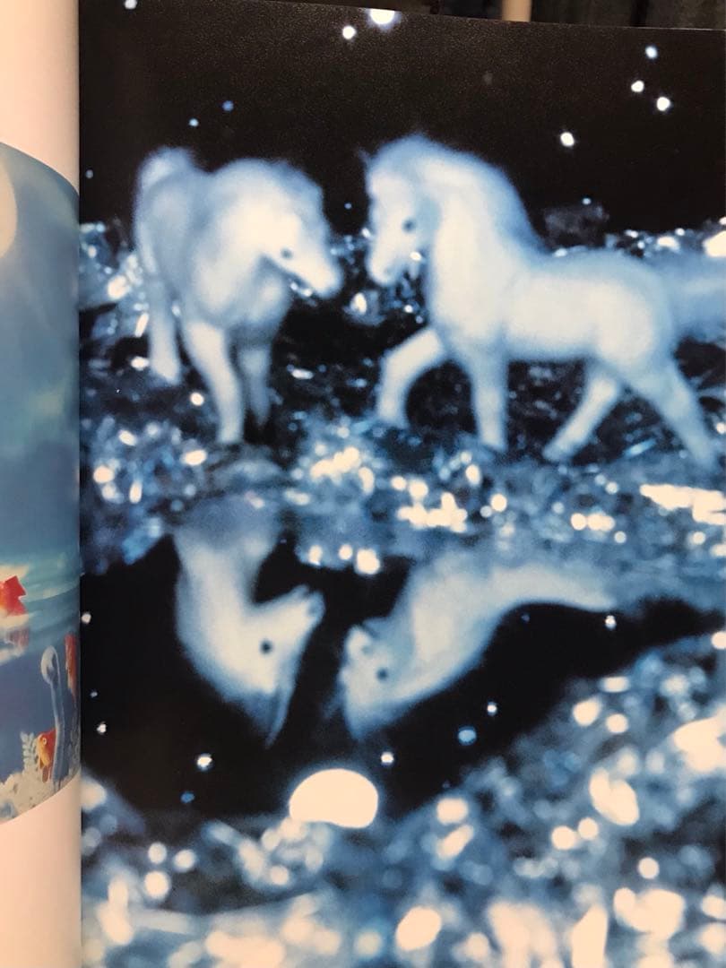 Pierre et Gilles アートブック