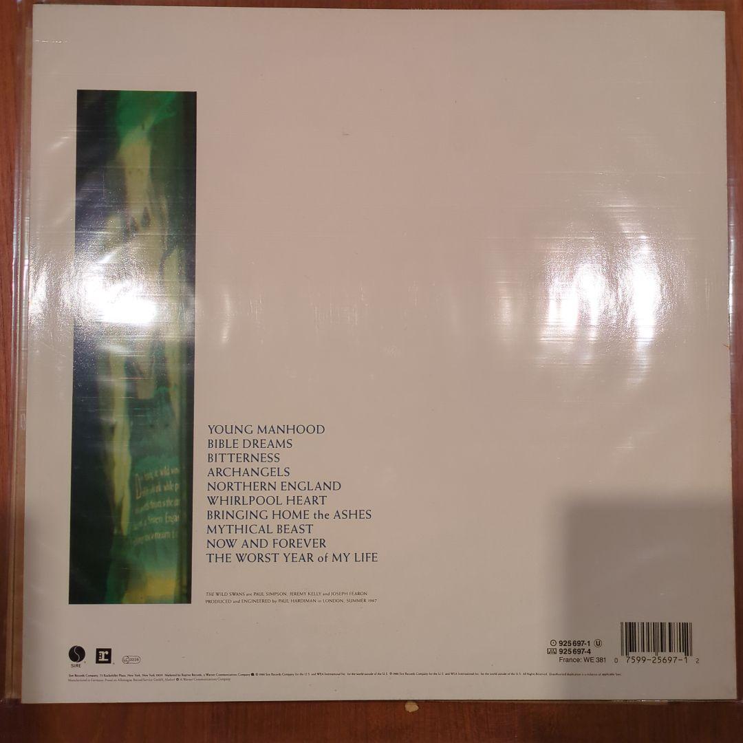 洋楽 THE WILD SWANS / BRINGING  THE ASHES