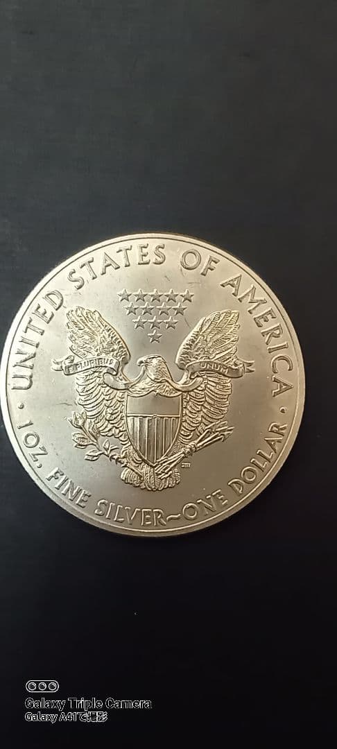 2015年 ウォーキン・リバティ 純銀1オンス銀貨
