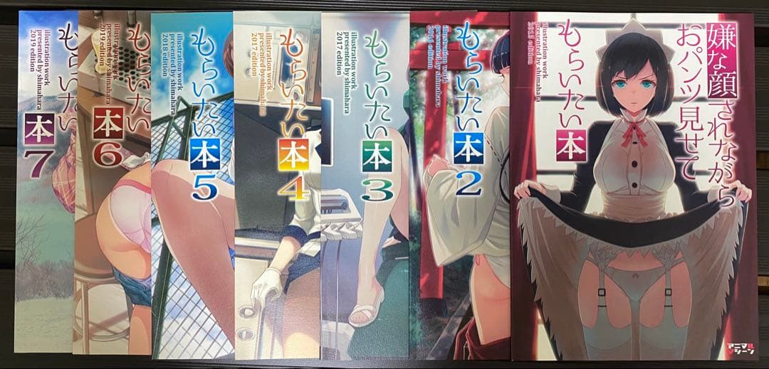 嫌な顔されながらおパンツ見せてもらいたい本　14冊　嫌パン