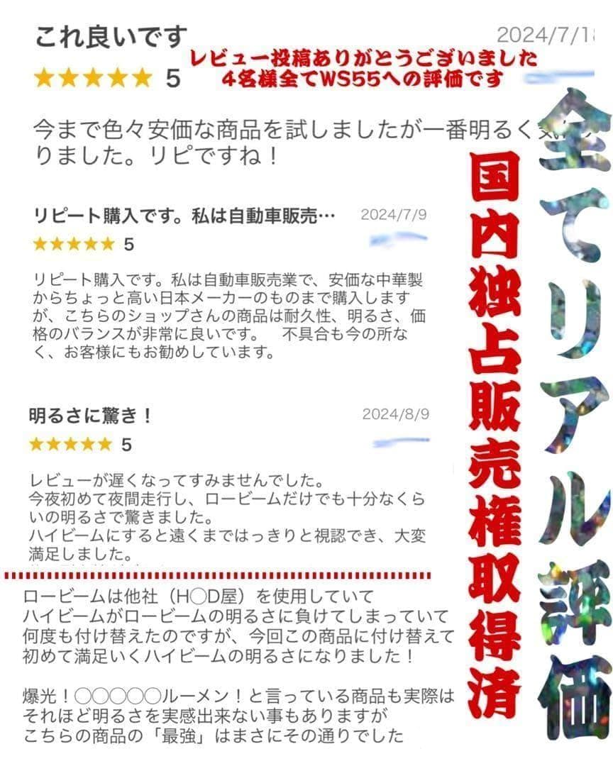 HB3 LEDヘッドライト フォグランプ WS55 ハビーム 爆光 BZ1