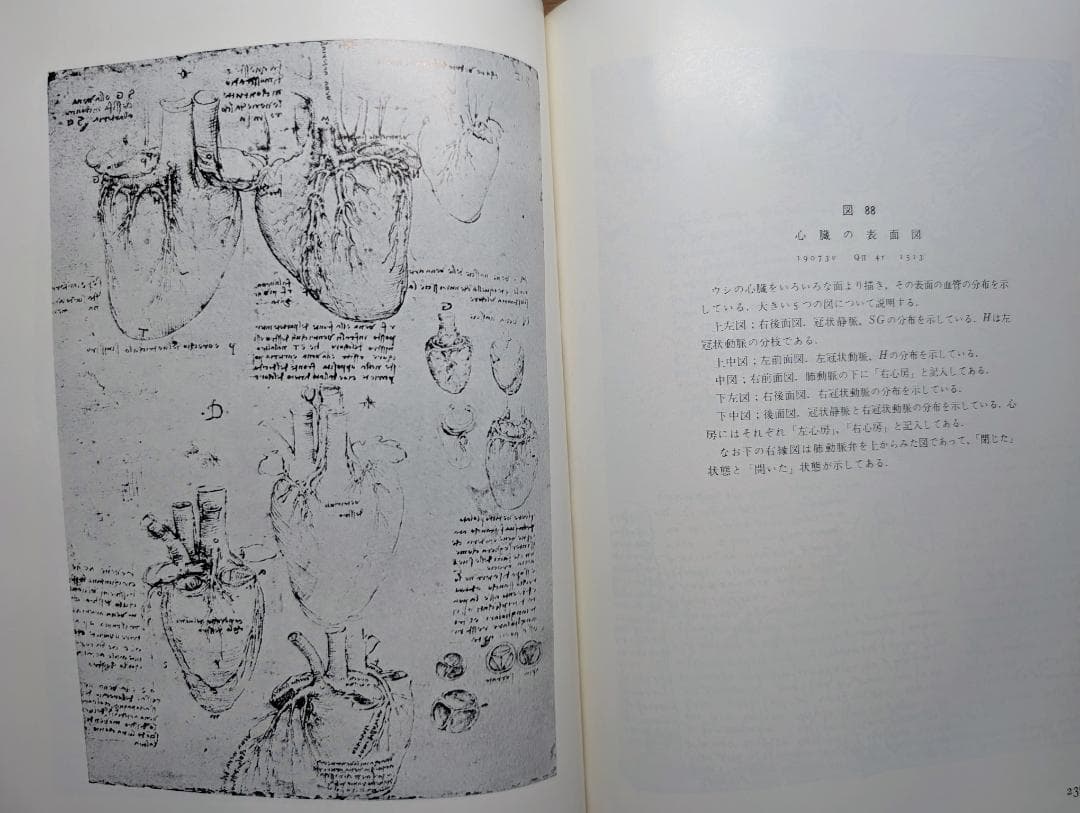 【希少本】レオナルドダヴィンチ解剖図集 (1971年) みすず書房
