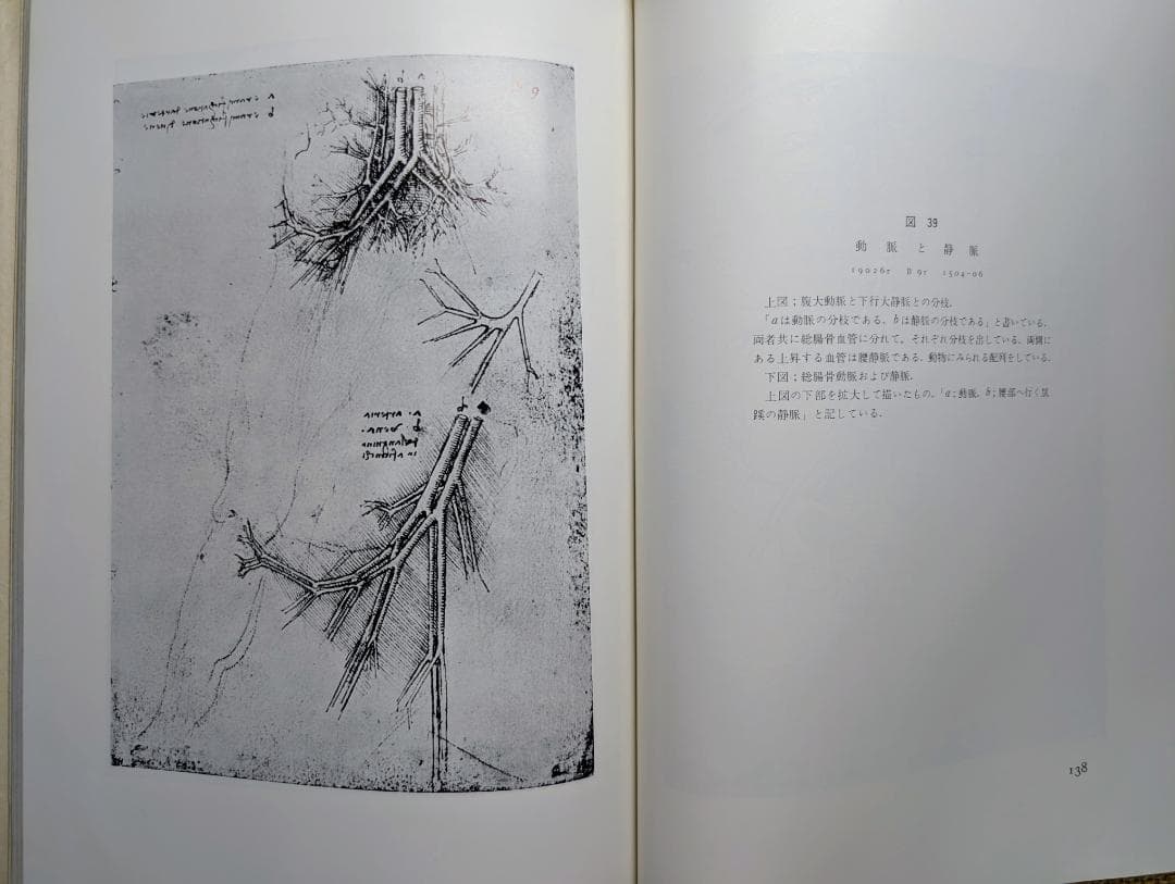 【希少本】レオナルドダヴィンチ解剖図集 (1971年) みすず書房