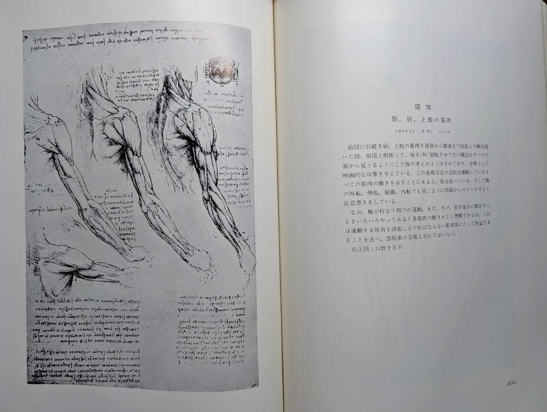 【希少本】レオナルドダヴィンチ解剖図集 (1971年) みすず書房
