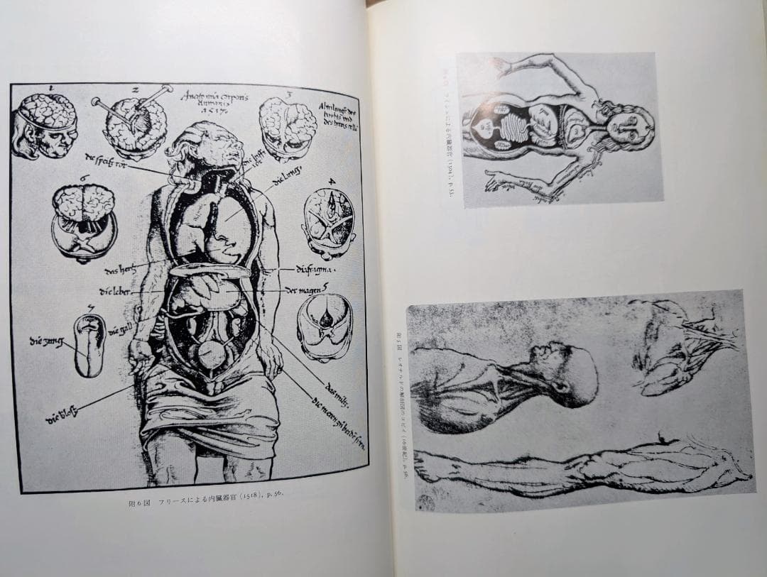 【希少本】レオナルドダヴィンチ解剖図集 (1971年) みすず書房