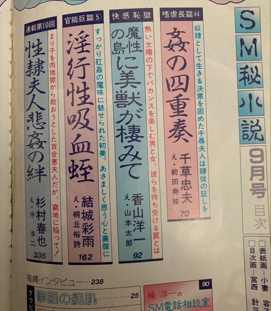 SM秘小説88.6 90.9セット