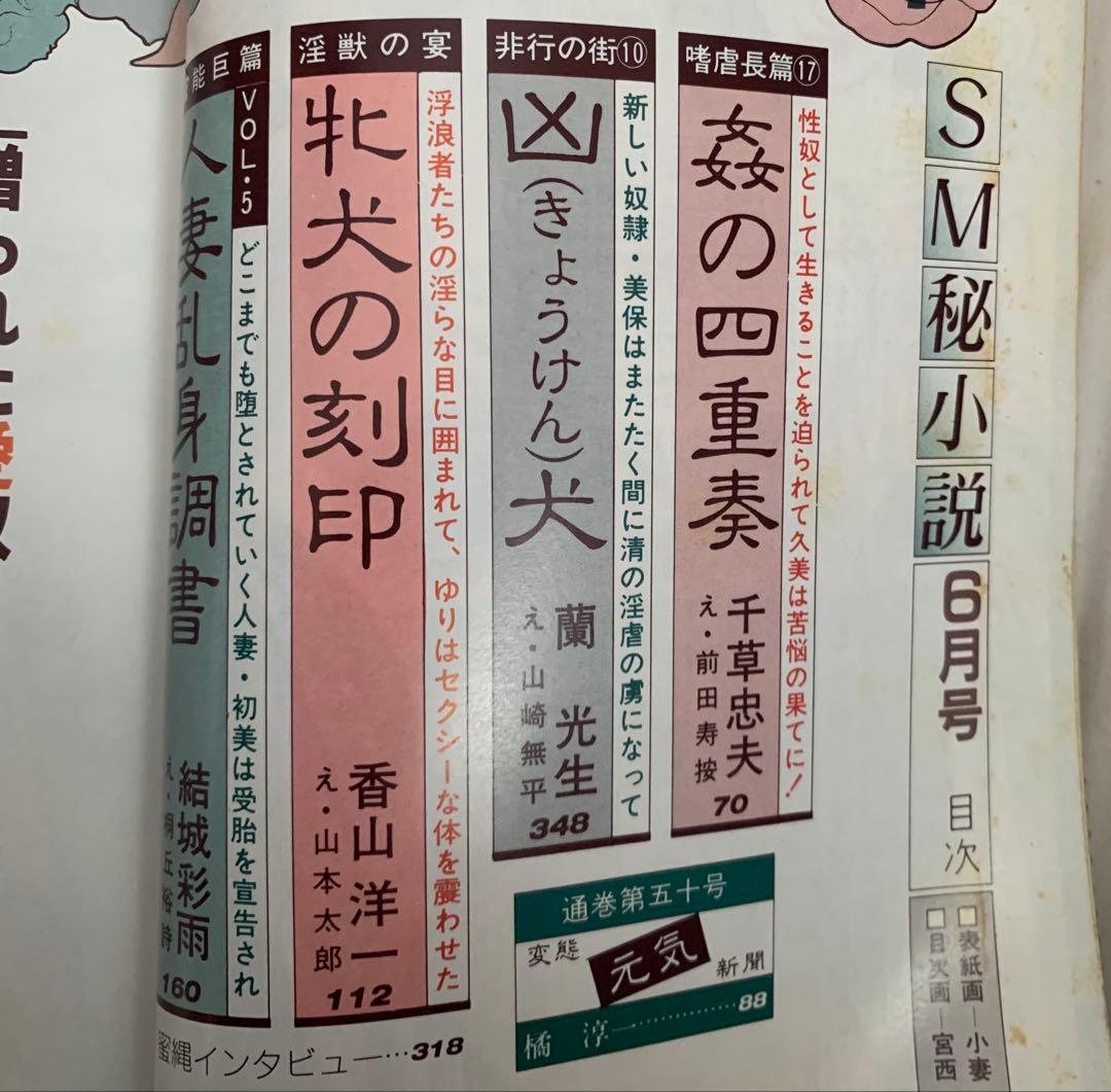 SM秘小説88.6 90.9セット