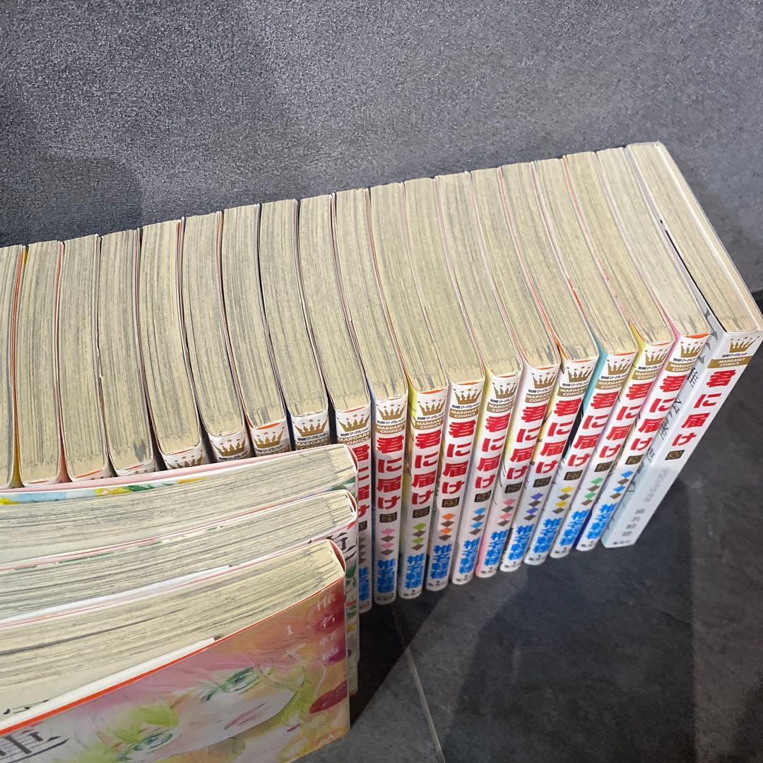君に届け 全巻 +運命の人 全巻