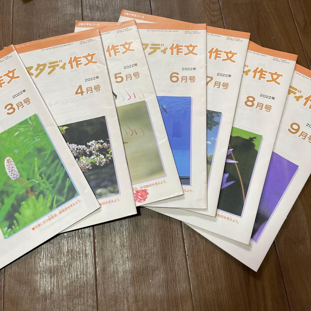 【特価】エブリスタディ公立中高一貫校適性検査　作文　3月から9月