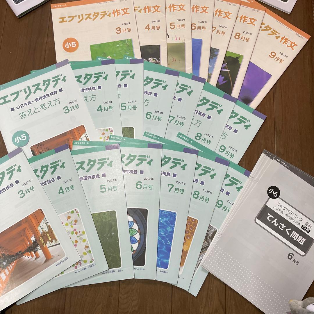 【特価】エブリスタディ公立中高一貫校適性検査　作文　3月から9月