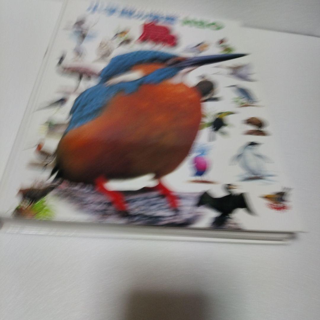 小学館の図鑑NEO セット9冊　dvdなし
