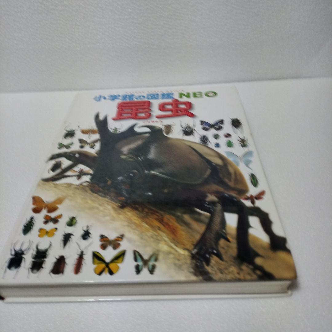 小学館の図鑑NEO セット9冊　dvdなし