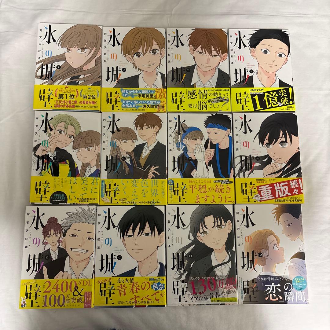 氷の城壁 1-12巻