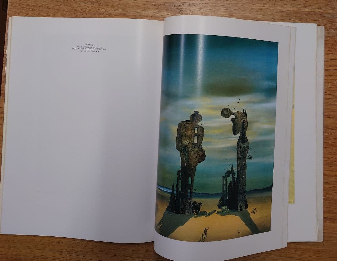 『DALI』 アートブック サルバドール・ダリ