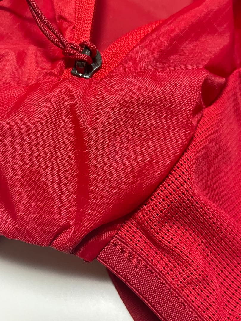Salomon バックパック　active skin 8