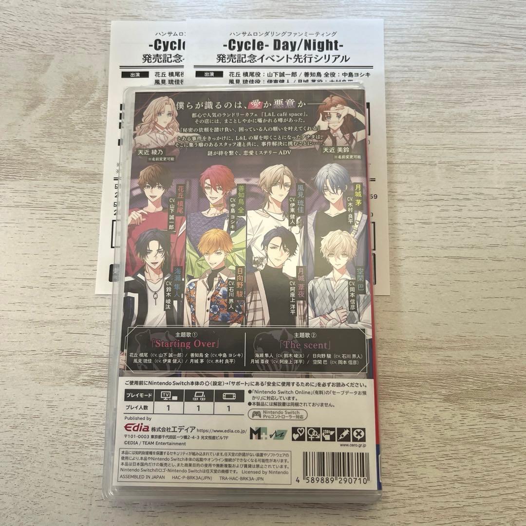 Switch ハンサムロンダリング the mystic lover