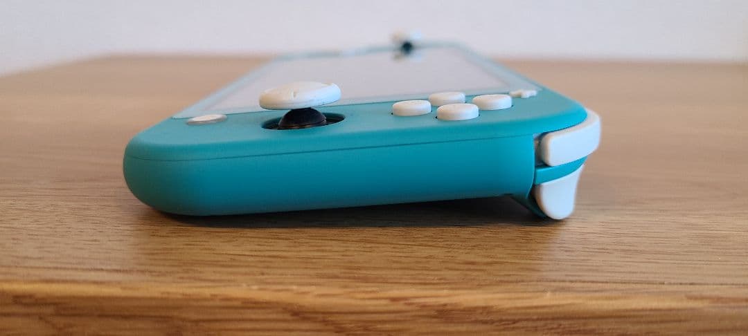 Nintendo Switch Lite 本体+充電器+ケース