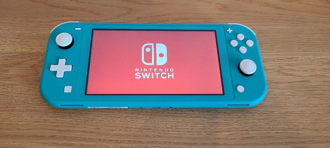 Nintendo Switch Lite 本体+充電器+ケース