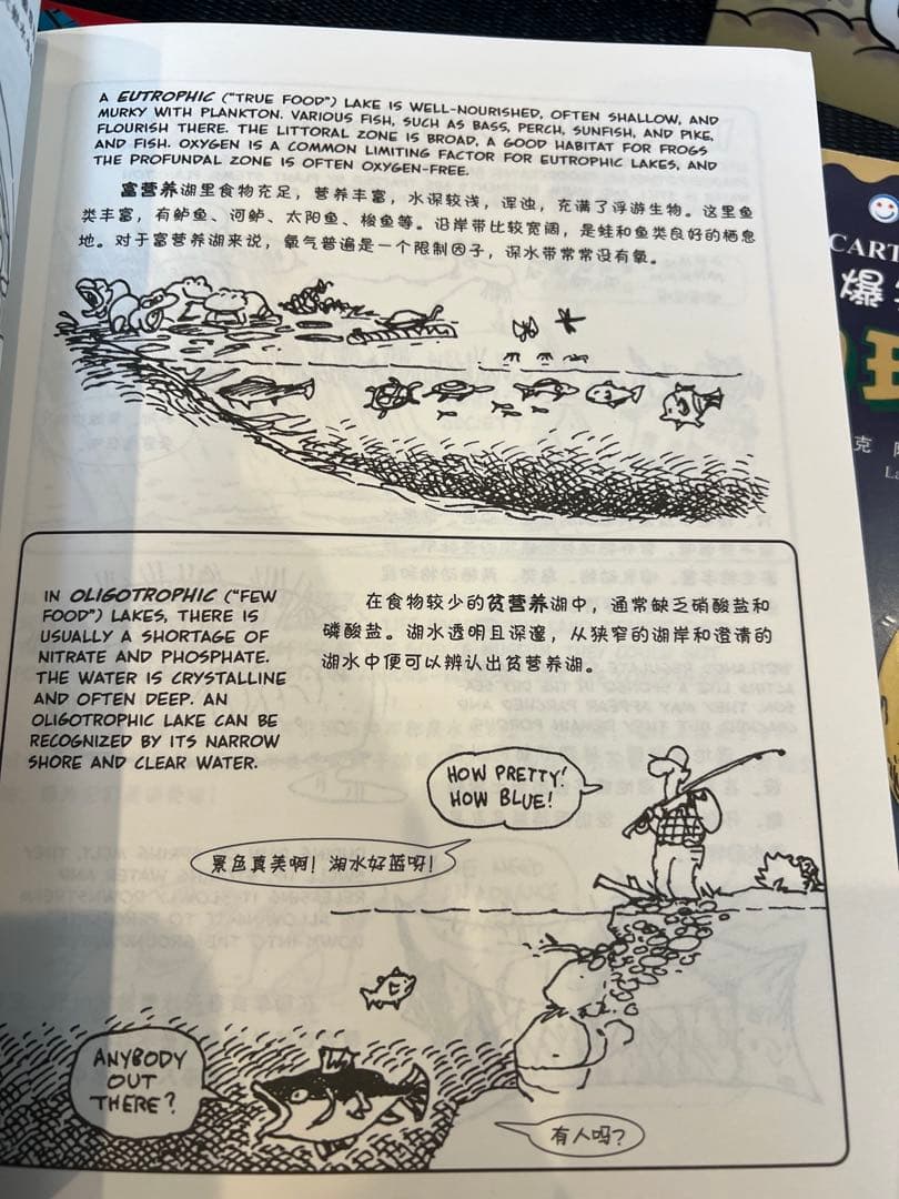 英語絵本　the cartoon guide to シリーズ4冊