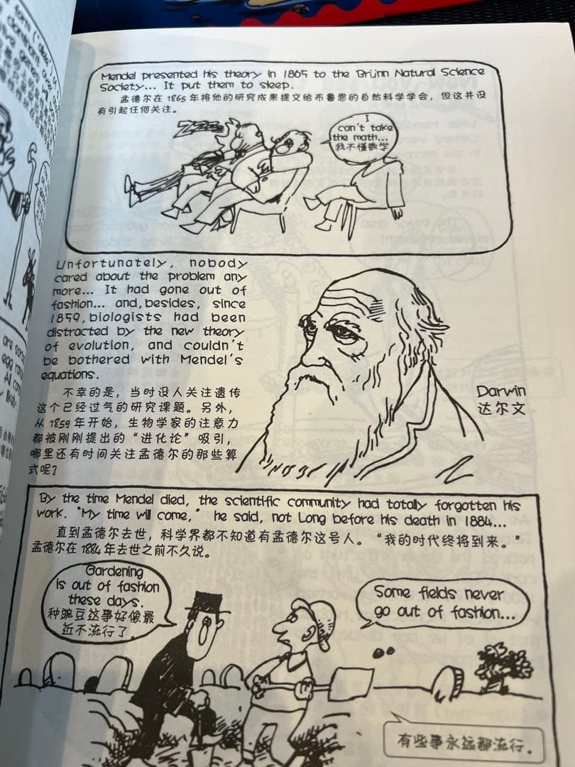 英語絵本　the cartoon guide to シリーズ4冊
