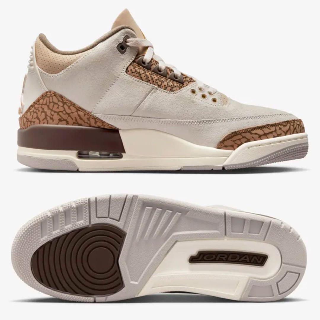 Nike Air Jordan 3 ナイキ エアジョーダン3 24.0