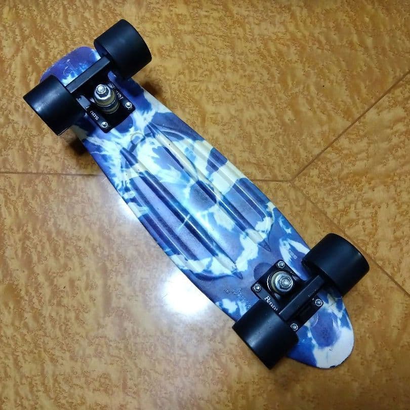 ✨美品✨PENNY 22インチ クルーザー /GLOBE SECTOR9