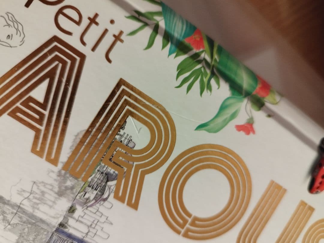 Le Petit Larousse 2022 プチ・ラルース 仏仏辞書