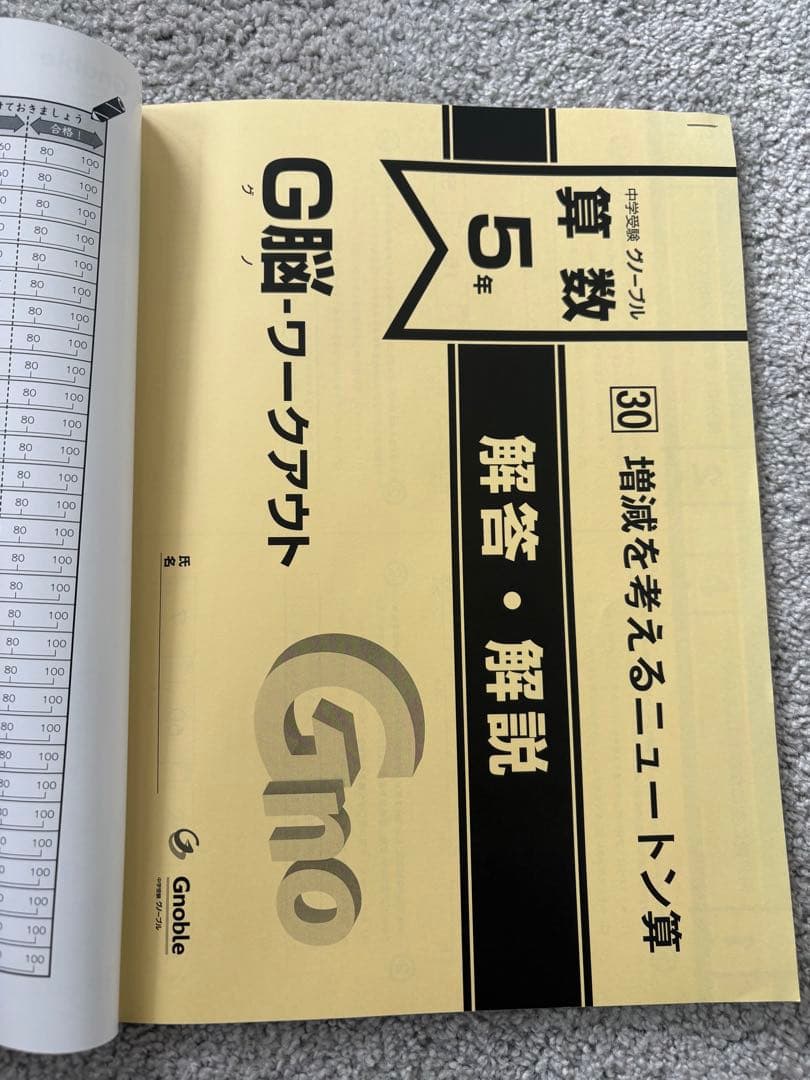 Gnoble グノーブル　G脳ワークアウト 算数 5年　全30冊