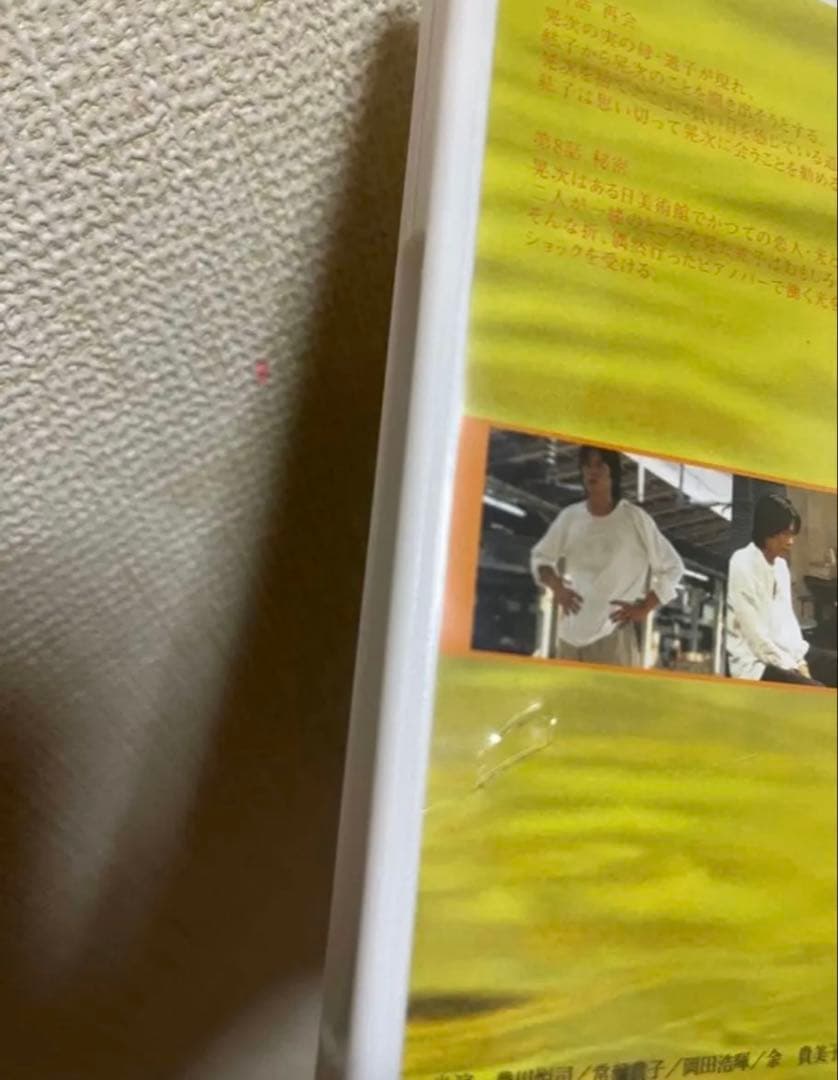 愛していると言ってくれ　DVD　TVドラマ　豊川悦司　常盤貴子　名作　純愛
