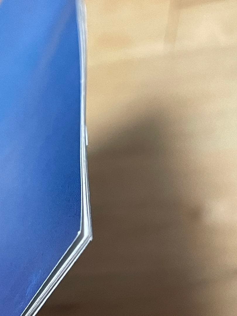 【帯付き】ブロンスキ・ビート 『陶酔の飾り砂糖』 国内盤CD　レア　希少