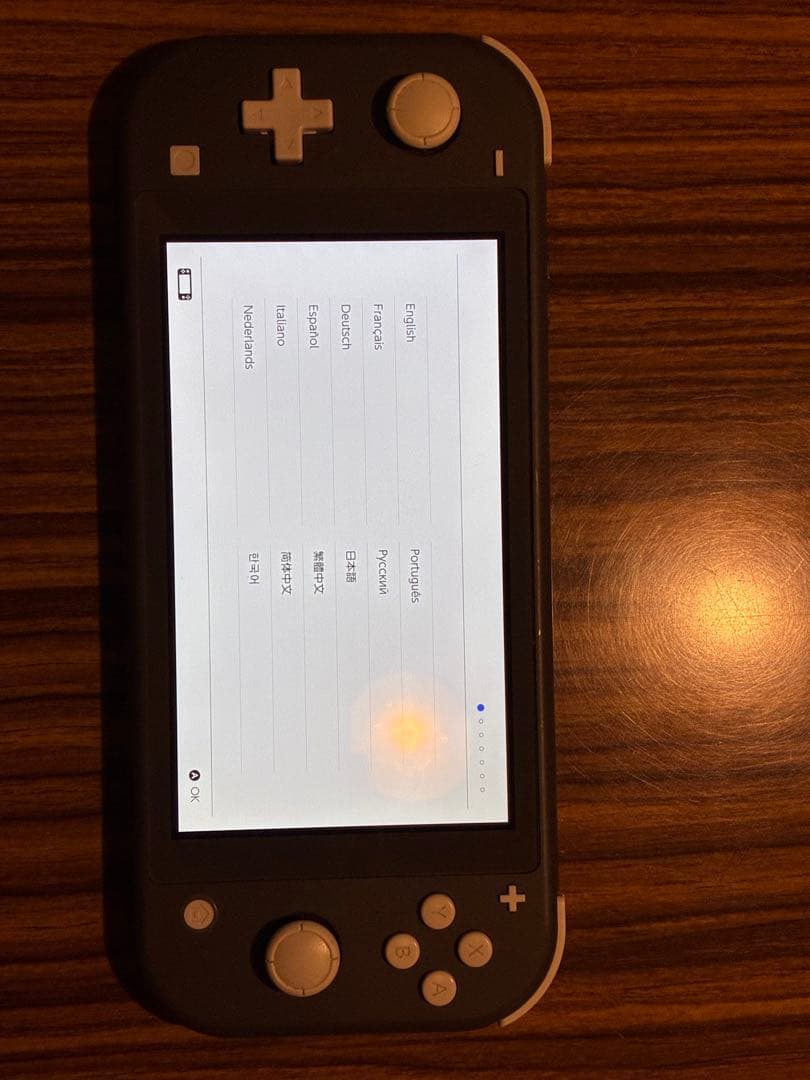 Nintendo Switch Lite グレー
