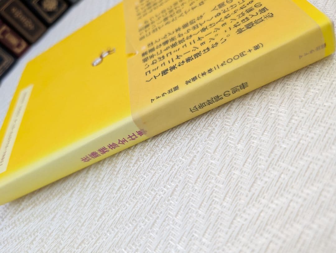 め*ゃ様 【希少】佐藤雅彦全仕事／広告批評の別冊