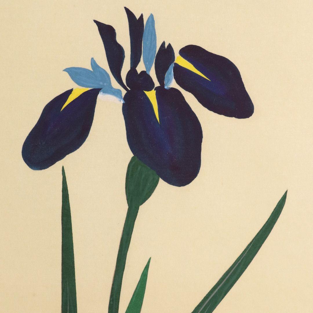 【複製】工芸画 酒井抱一「燕子花に水鶏図」絹本 掛軸 日本画 花鳥 MA449