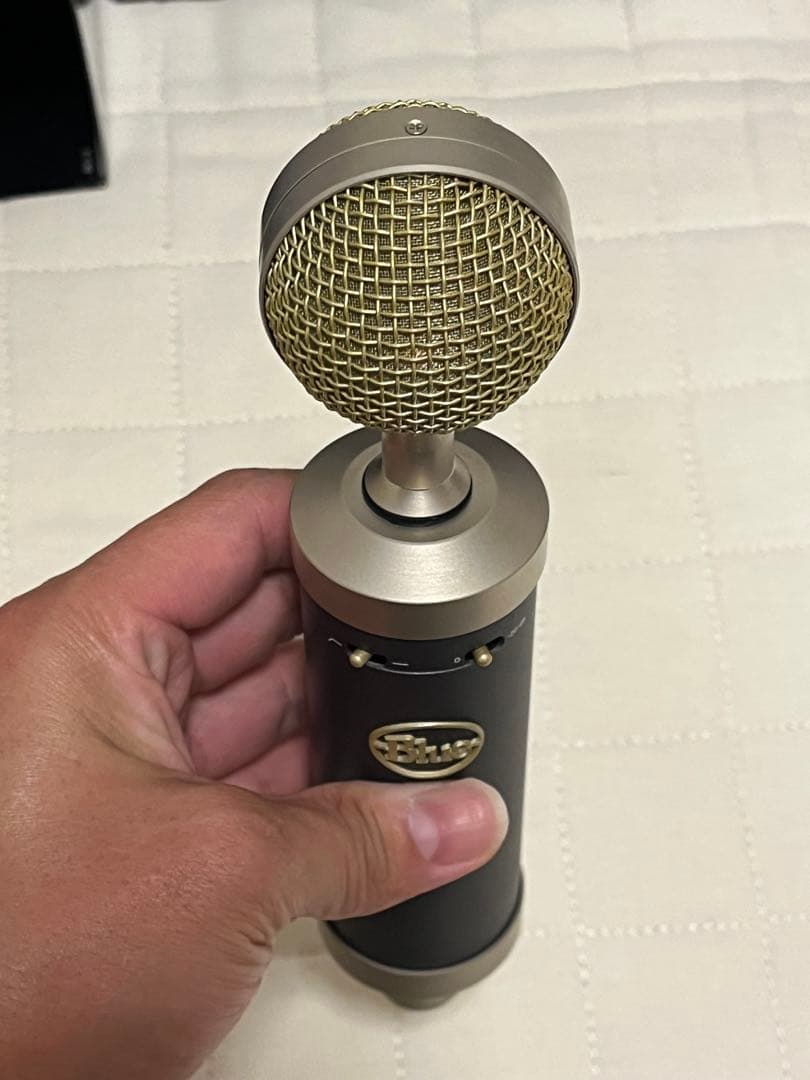 Blue Baby Bottle SL コンデンサーマイク DTM