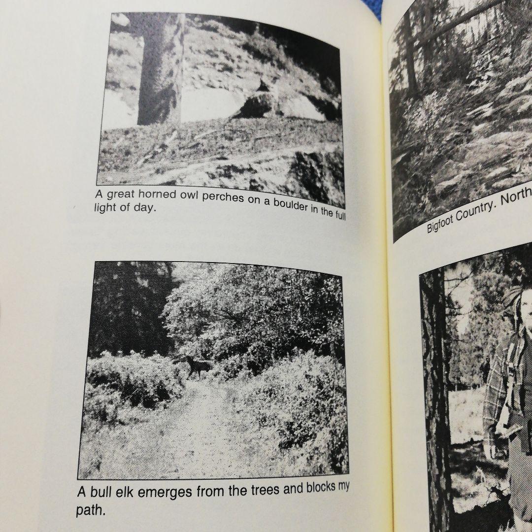 洋書 In Pursuit of a Legend by T.A. Wilson