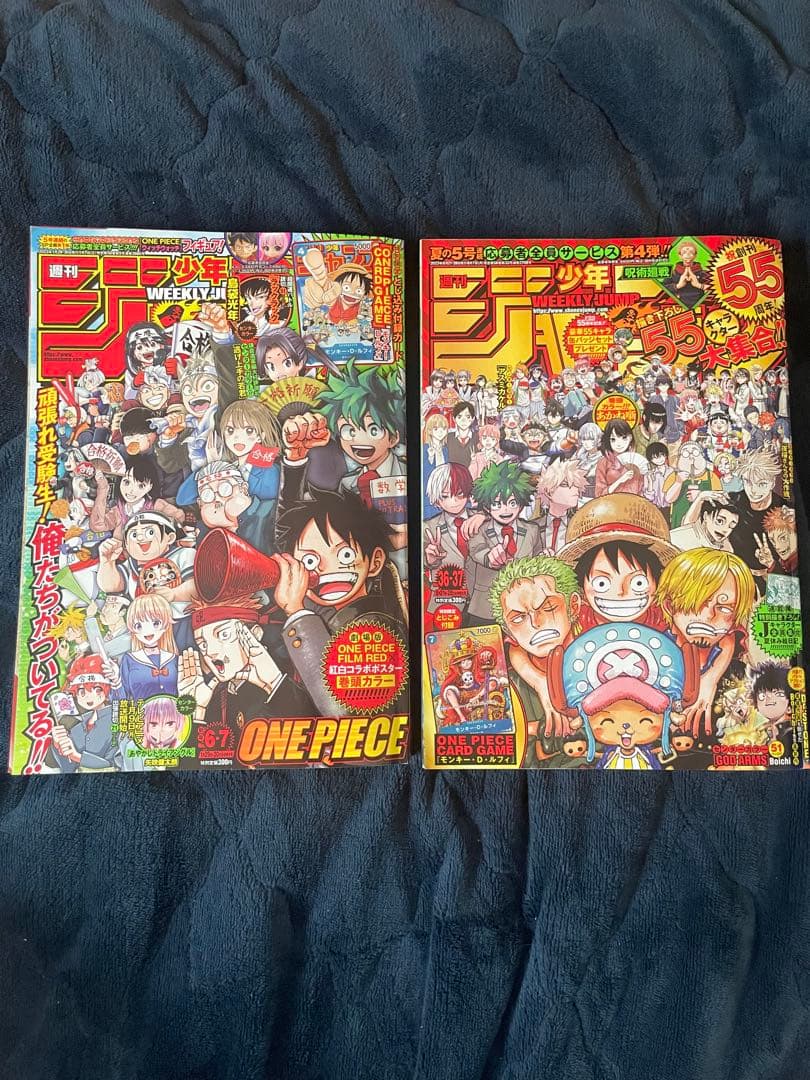 週刊少年ジャンプ ワンピースカード 付録
