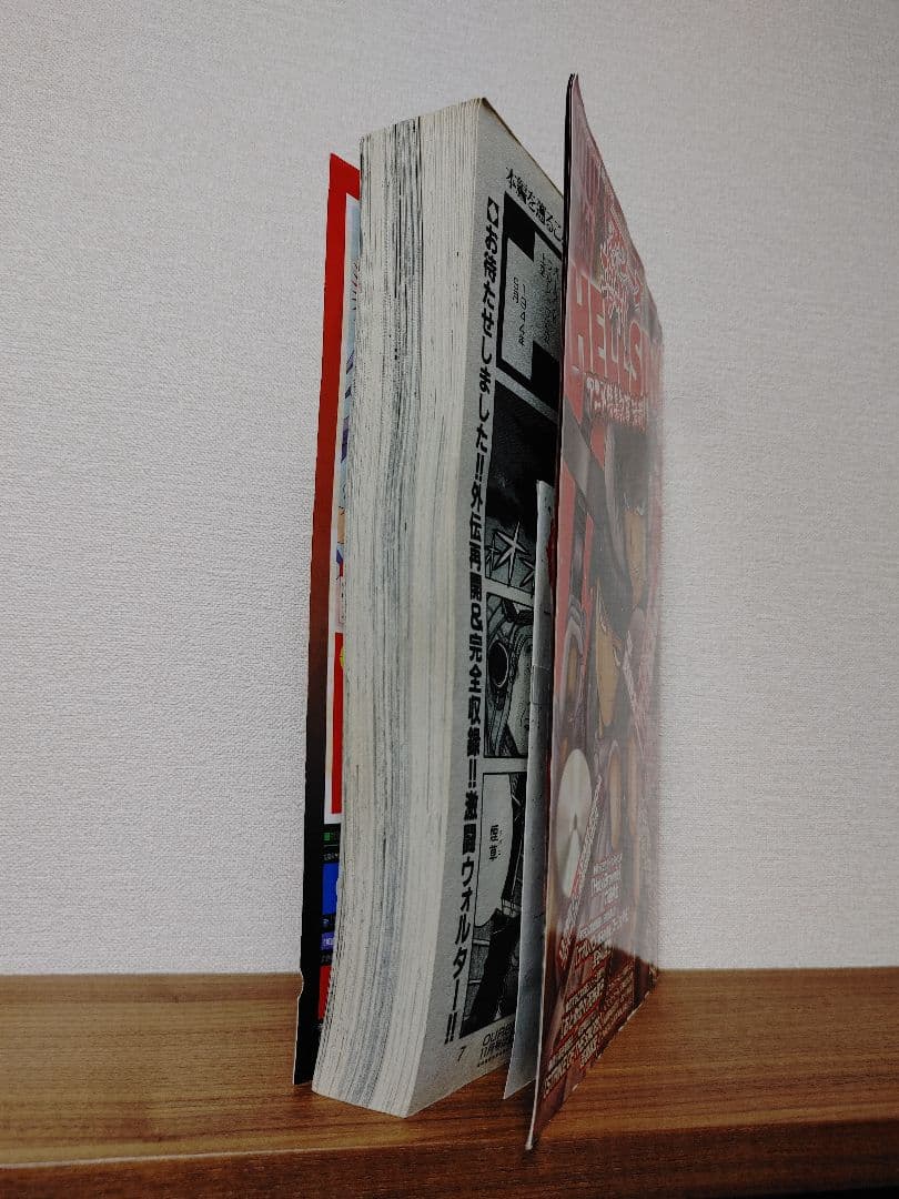 平野耕太HELLSING特集号ヤングキングアワーズ増刊2005年10月号DVD付