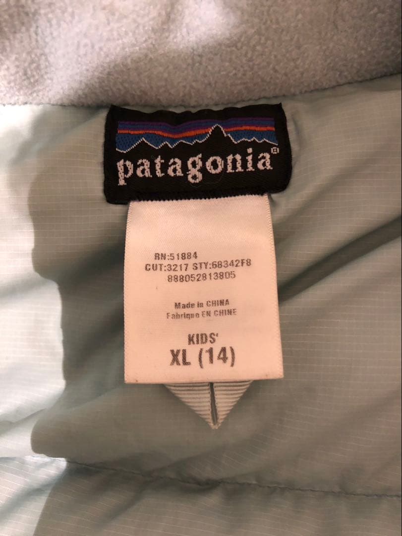 patagonia ダウンベスト