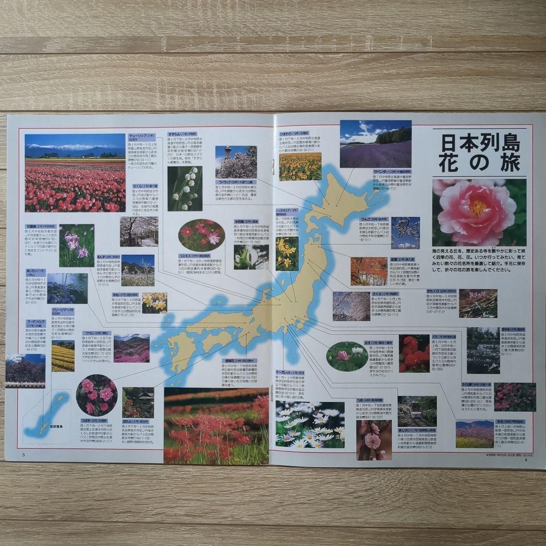 【美品】週刊花百科 Fleur（フルール） 雑誌 全100冊セット