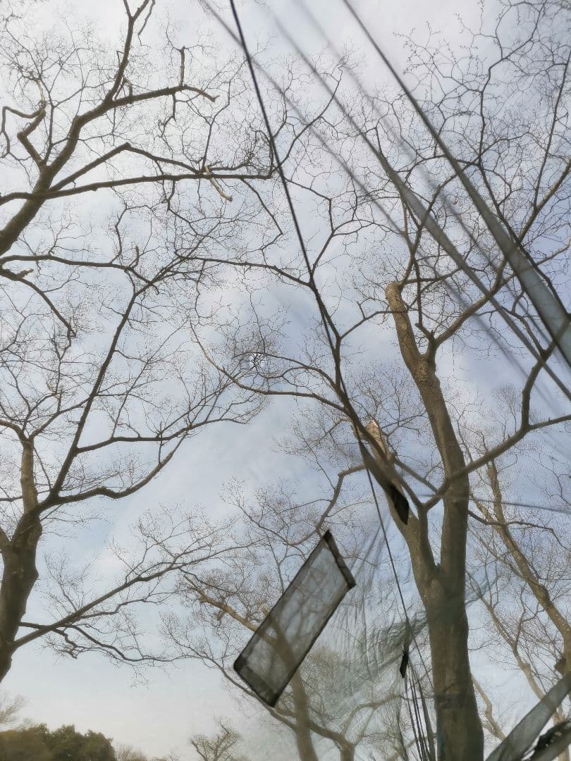 Snugpak ジャングルハンモック
