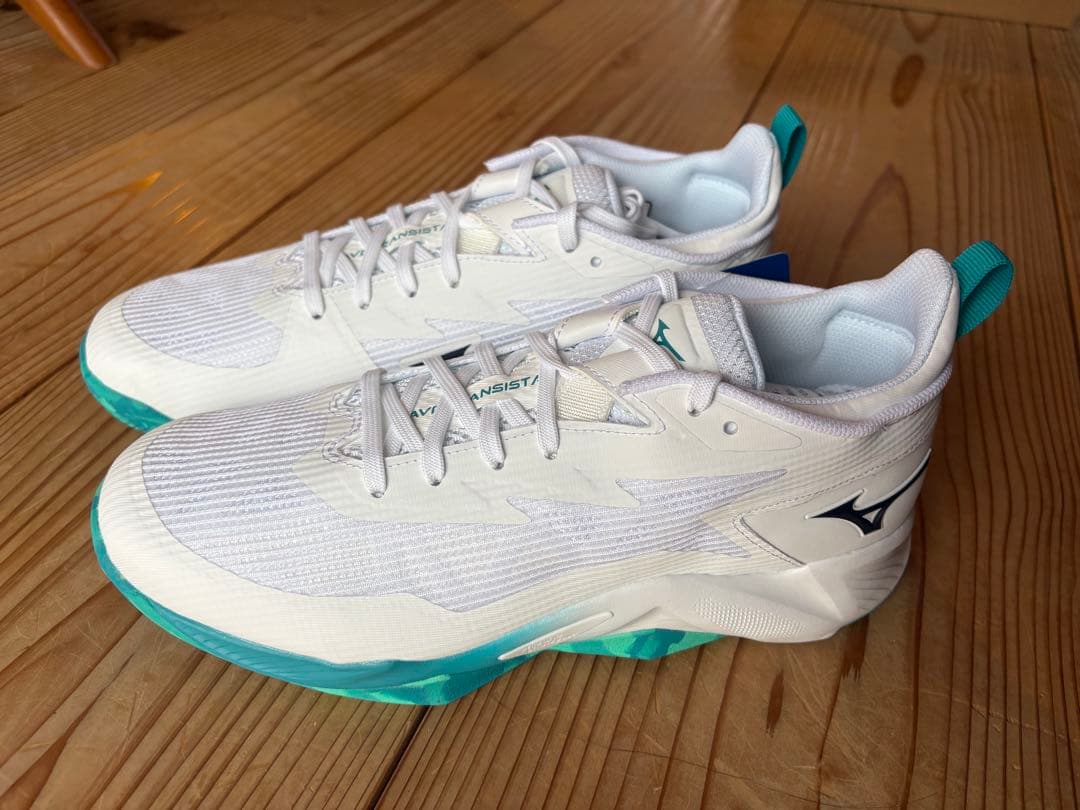 Mizuno ウェーブトランジスタ　26.0cm