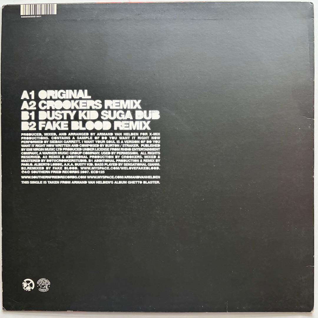 洋楽 ARMAND VAN HELDEN I WANT YOUR SOUL
