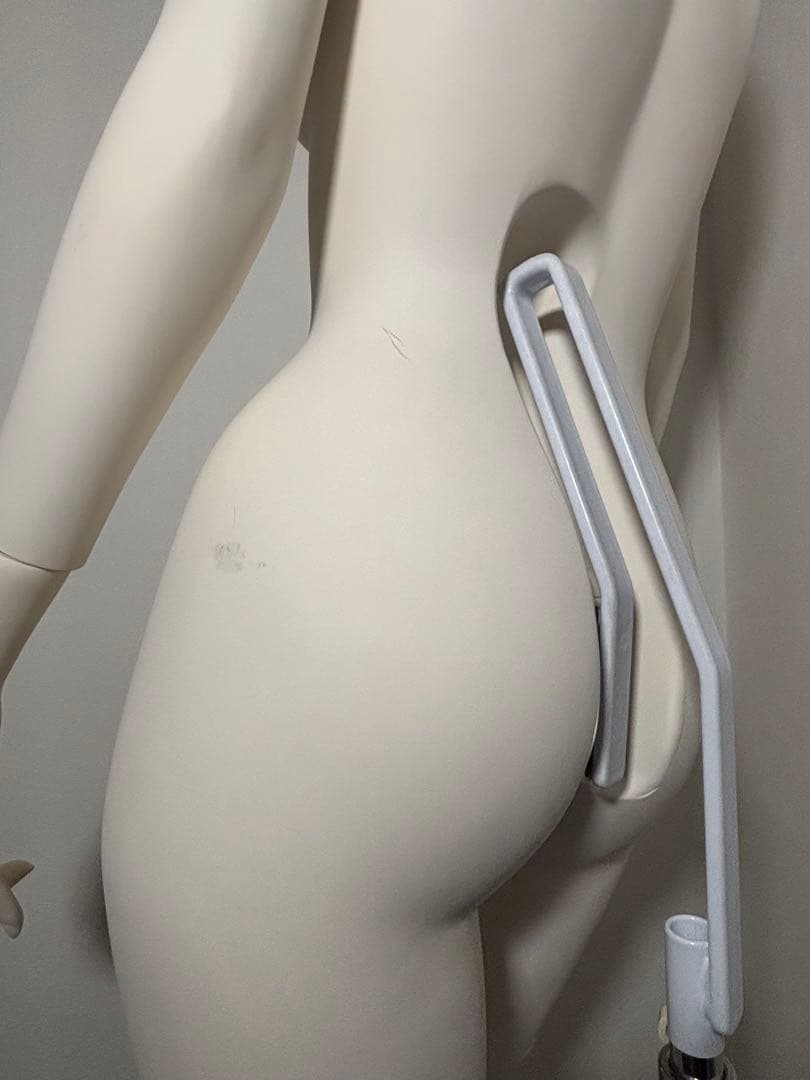 【大型】トルソー 女性 レディース マネキン ディスプレイ 全身 ヘッドレス