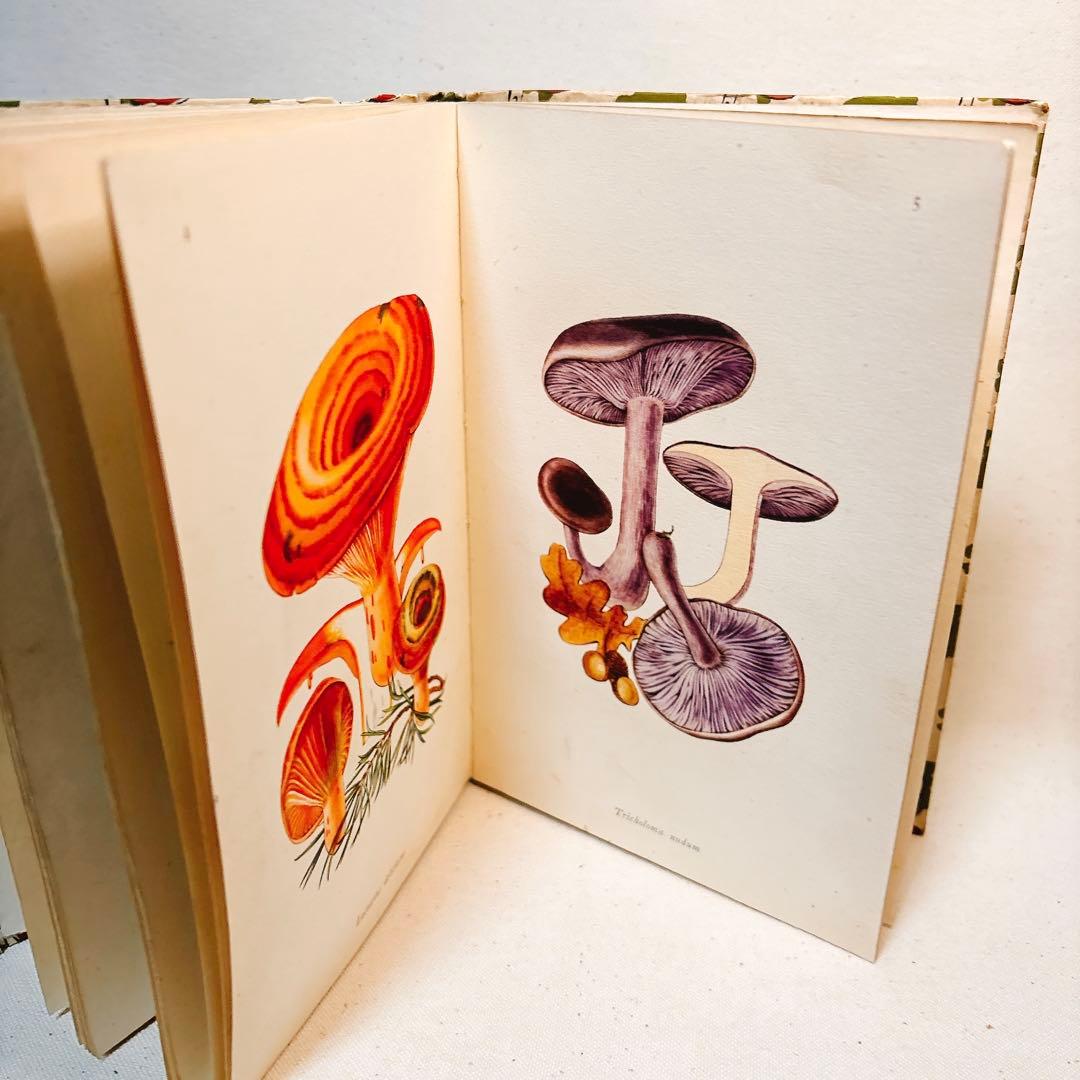 ペンギン文庫 1943年発行 美しいきのこ 図鑑 洋書 FUNGI