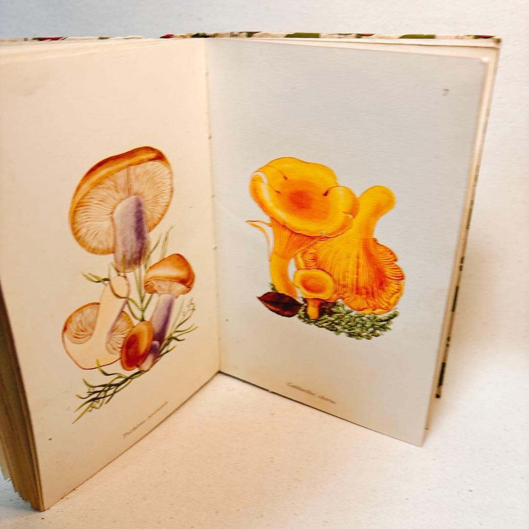 ペンギン文庫 1943年発行 美しいきのこ 図鑑 洋書 FUNGI