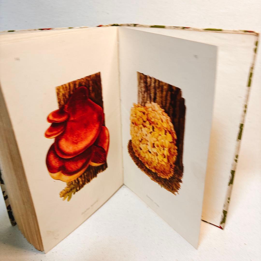 ペンギン文庫 1943年発行 美しいきのこ 図鑑 洋書 FUNGI