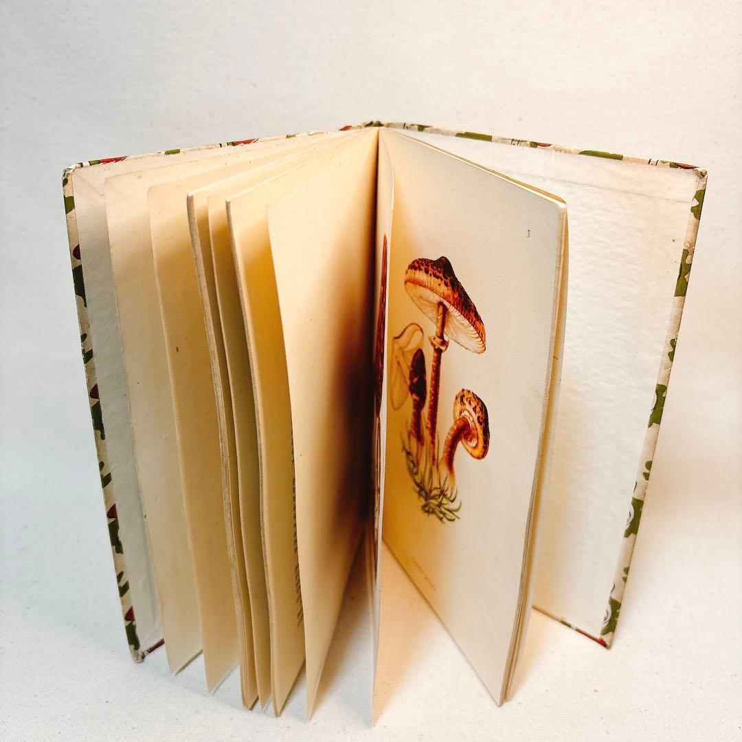 ペンギン文庫 1943年発行 美しいきのこ 図鑑 洋書 FUNGI