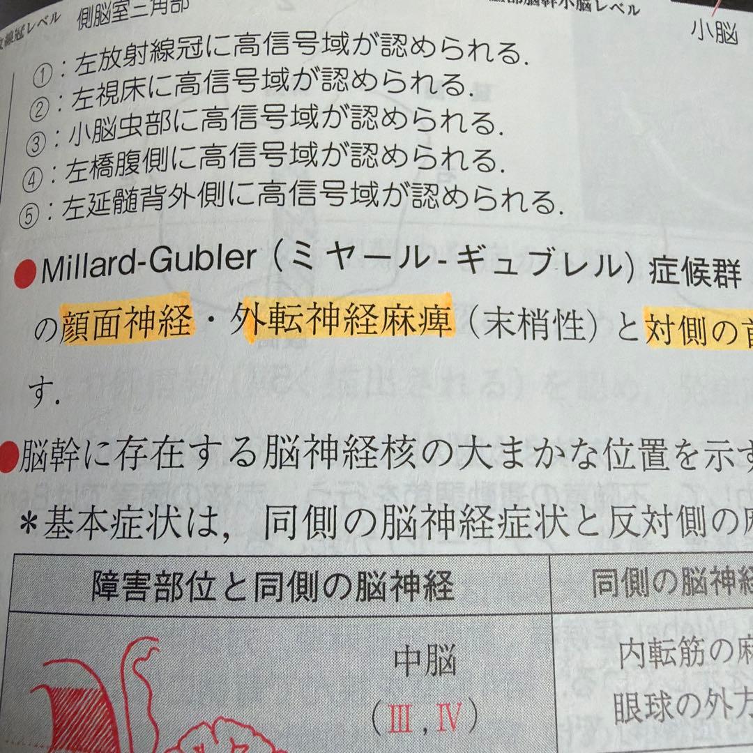 QB クエスチョンバンク理学療法士・作業療法士 2026年版 セット