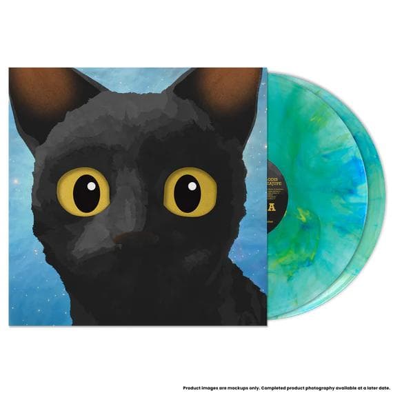 入手困難　日本未発売　限定カラー　特別装丁盤　Flow ost vinyl